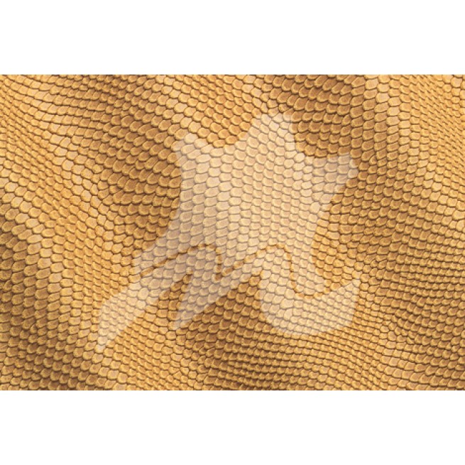 Спил-велюр c тисненням VESUVIO ASPIDE 1,2-1,4 Італія